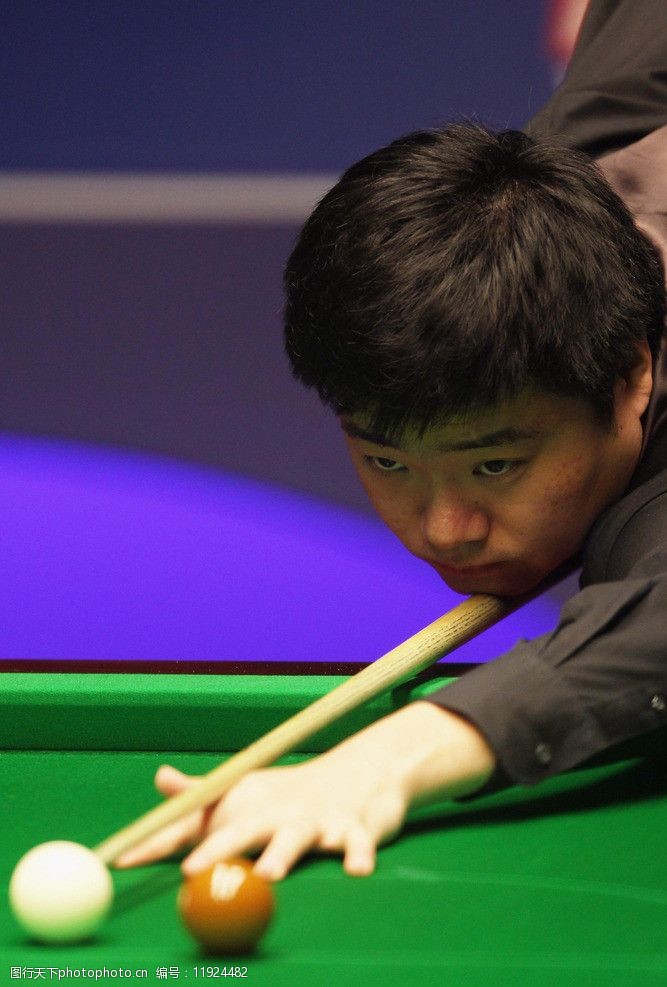 里斯合同中 里斯合同中