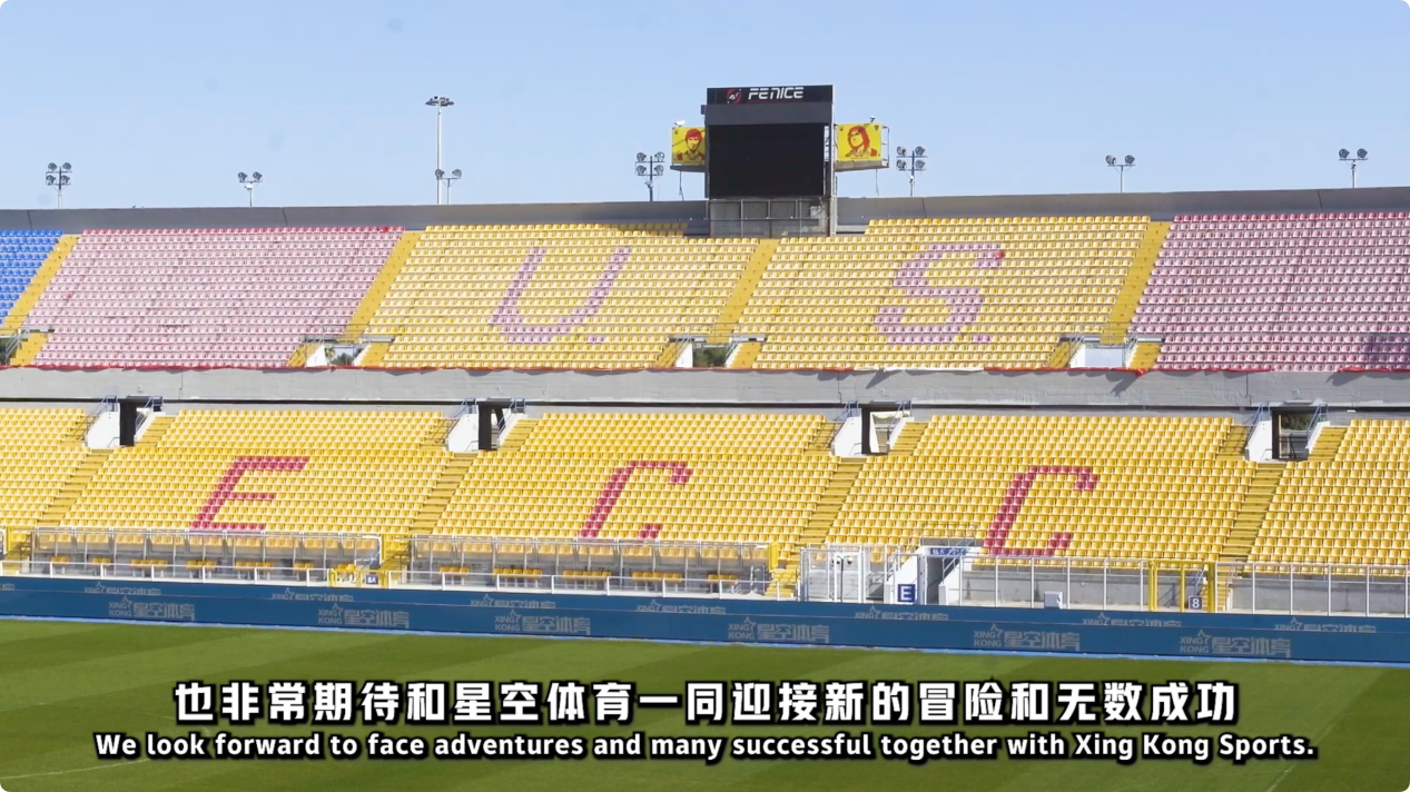 应声入网